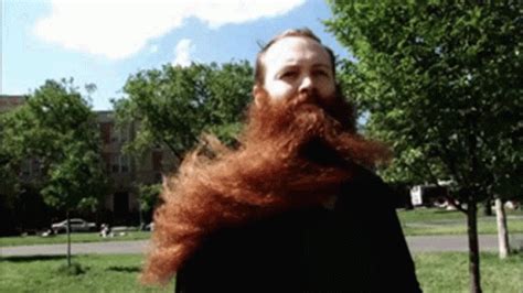 face ride meme|Funny Face Big Beard GIF